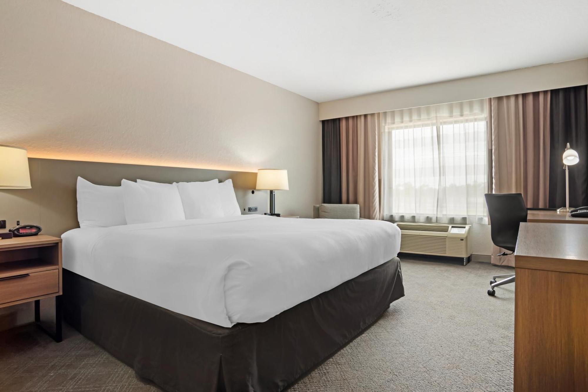 Comfort & Hotel
